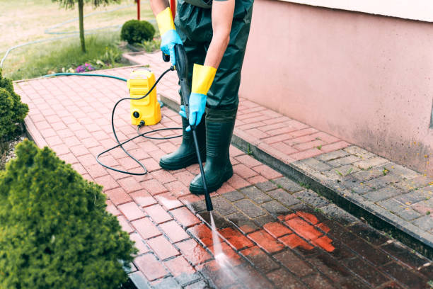 Best Building Exterior Washing  in Roselle Park, NJ